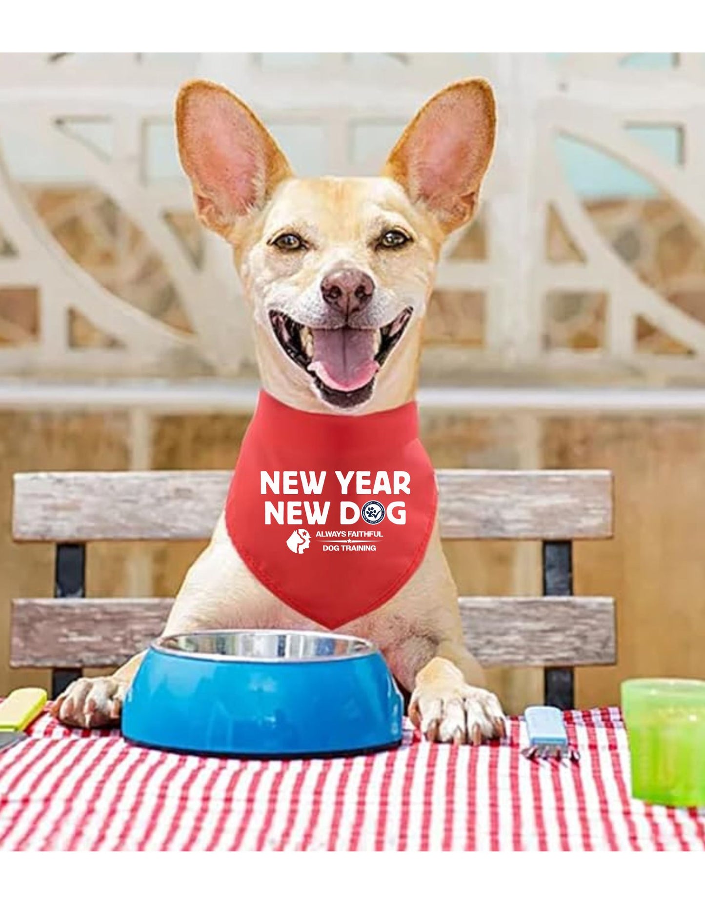 Special Edition "New Year - New Dog" AFDT Pet Bandana